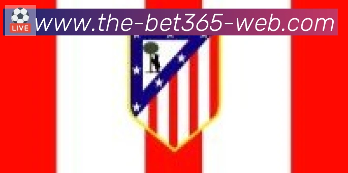 bet365在线体育合作伙伴